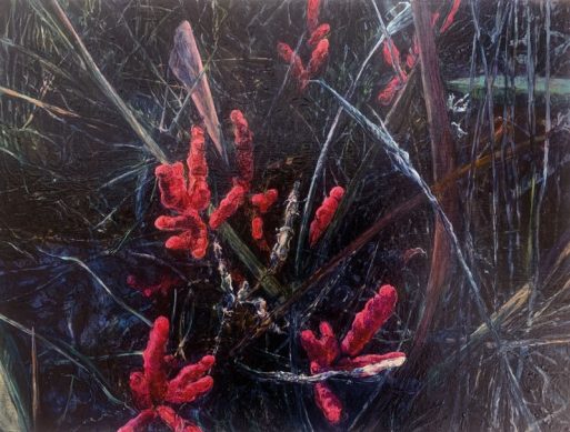 Judith Tucker - Dark Marsh Winter Samphire