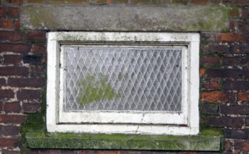 Window